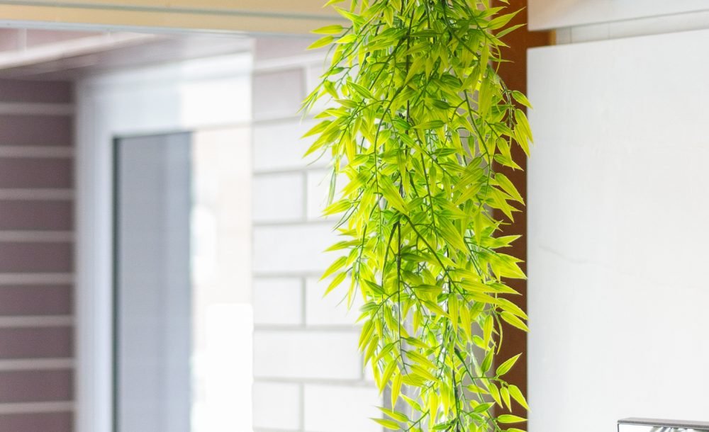 @rhyan.lopes - Bounjour, Fanny Richard Souza-22