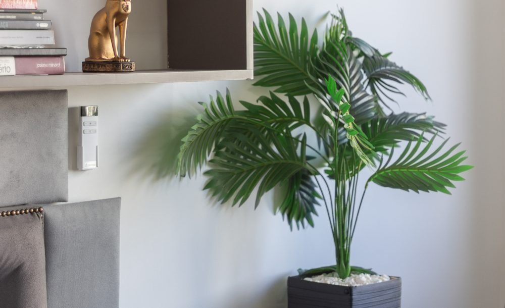 @rhyan.lopes - Bounjour, Fanny Richard Souza-51