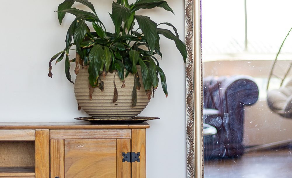 @rhyan.lopes - Centro, Richard Souza-43