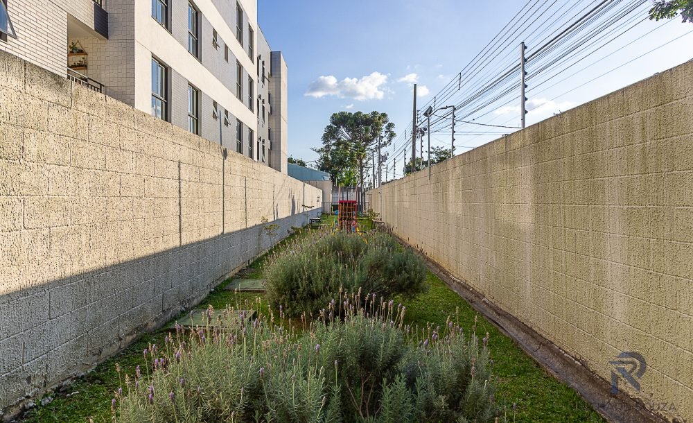 @rhyan.lopes - Fazendinha, Richard Souza-55