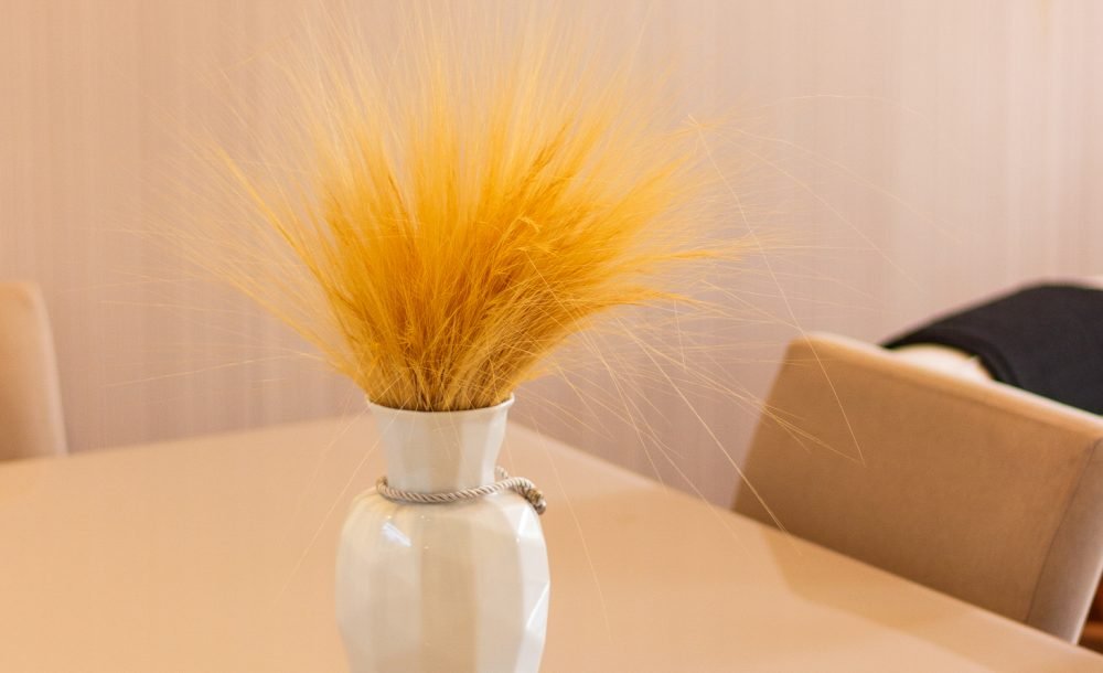 @rhyan.lopes - Jardim das Américas, Richard Souza-09