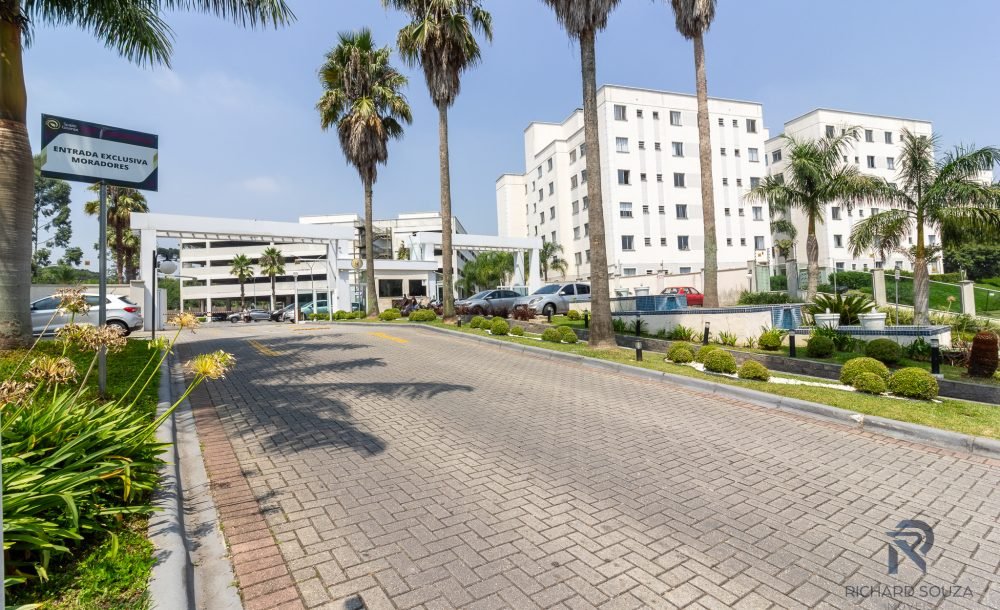 @rhyan.lopes - Pinheirinho, Richard Souza-03