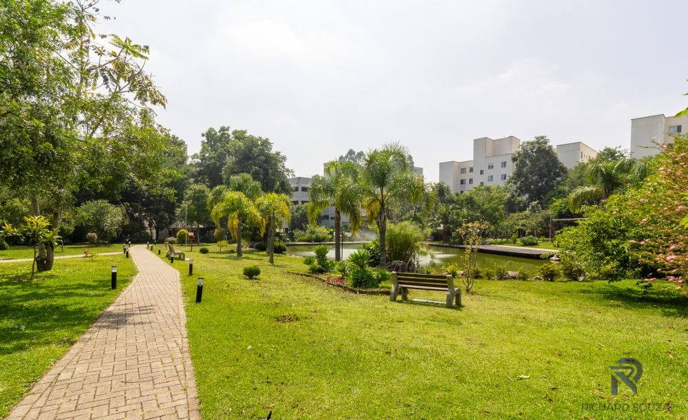 @rhyan.lopes - Pinheirinho, Richard Souza-65