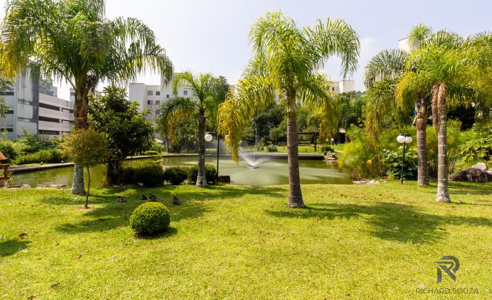 @rhyan.lopes - Pinheirinho, Richard Souza-66