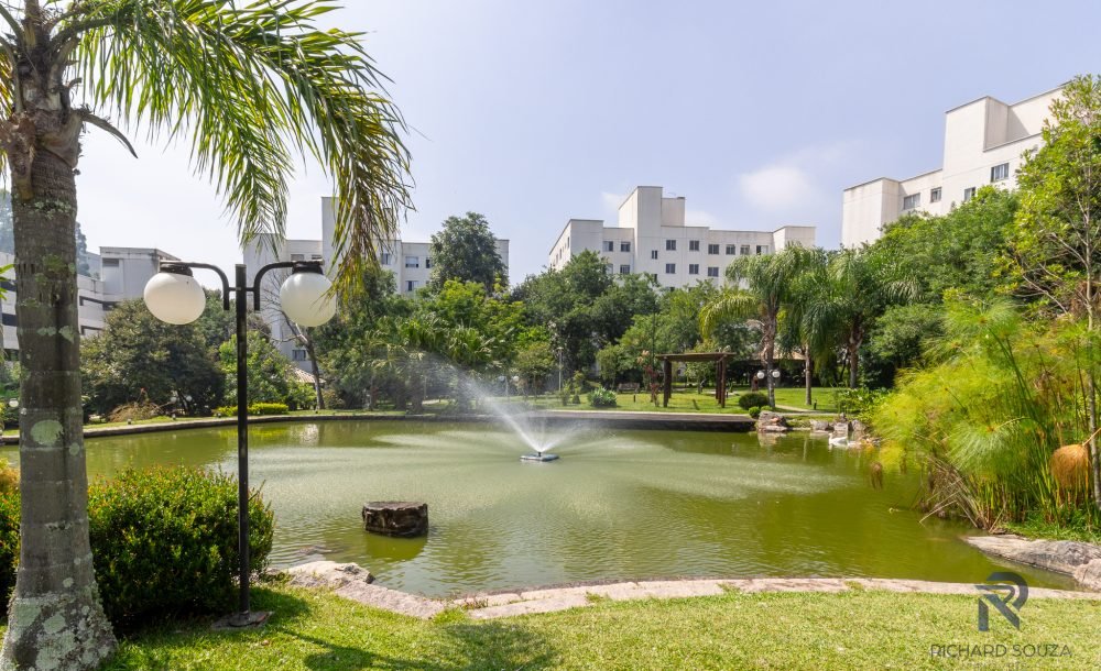 @rhyan.lopes - Pinheirinho, Richard Souza-68