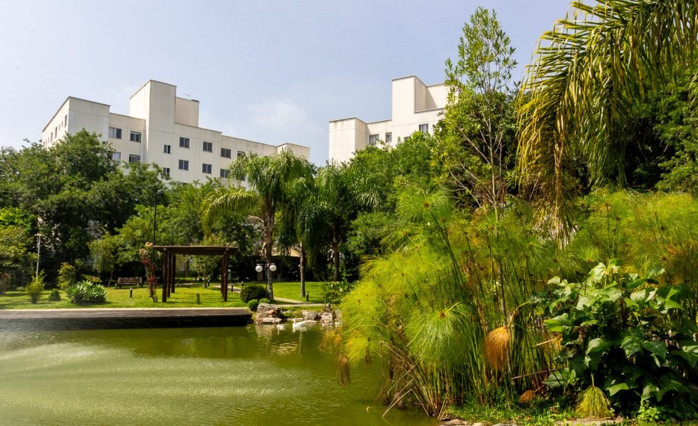 @rhyan.lopes - Pinheirinho, Richard Souza-69