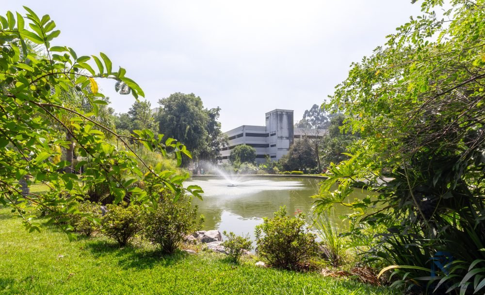 @rhyan.lopes - Pinheirinho, Richard Souza-70