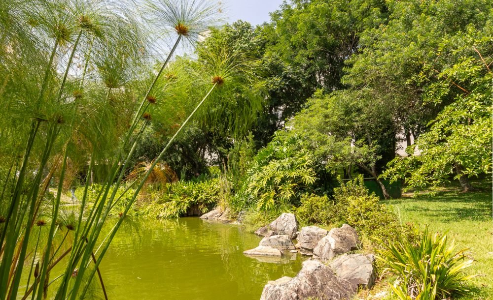 @rhyan.lopes - Pinheirinho, Richard Souza-74