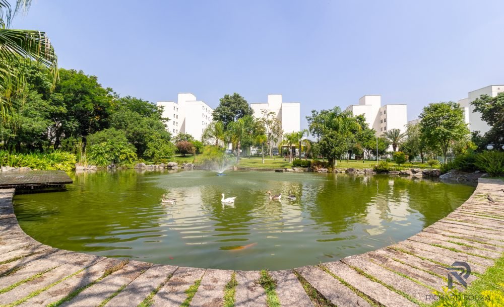 @rhyan.lopes - Pinheirinho, Richard Souza-78