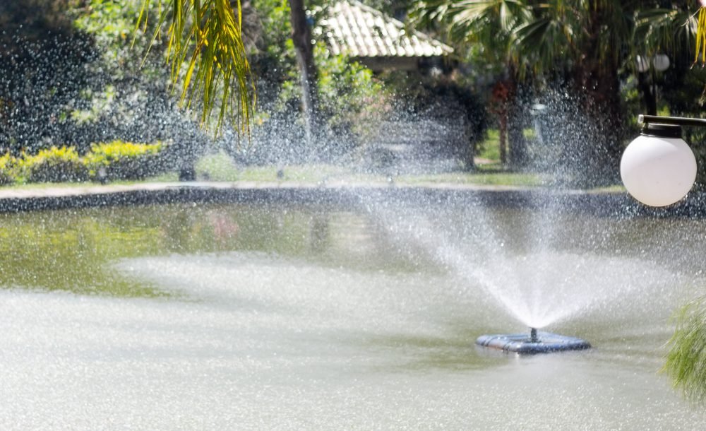 @rhyan.lopes - Pinheirinho, Richard Souza-81