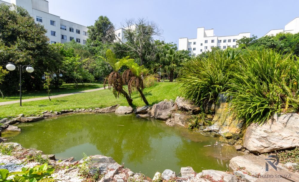 @rhyan.lopes - Pinheirinho, Richard Souza-82