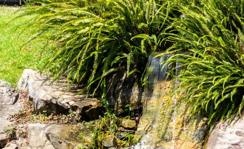 @rhyan.lopes - Pinheirinho, Richard Souza-83