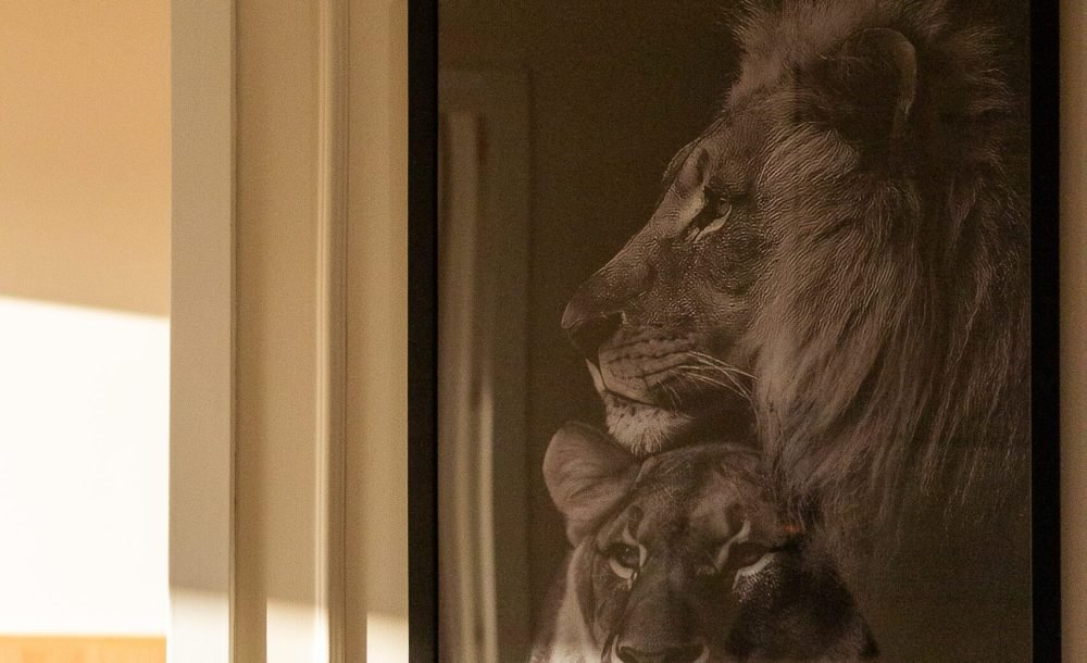 @rhyan.lopes - Richard Souza - Capão Raso-56