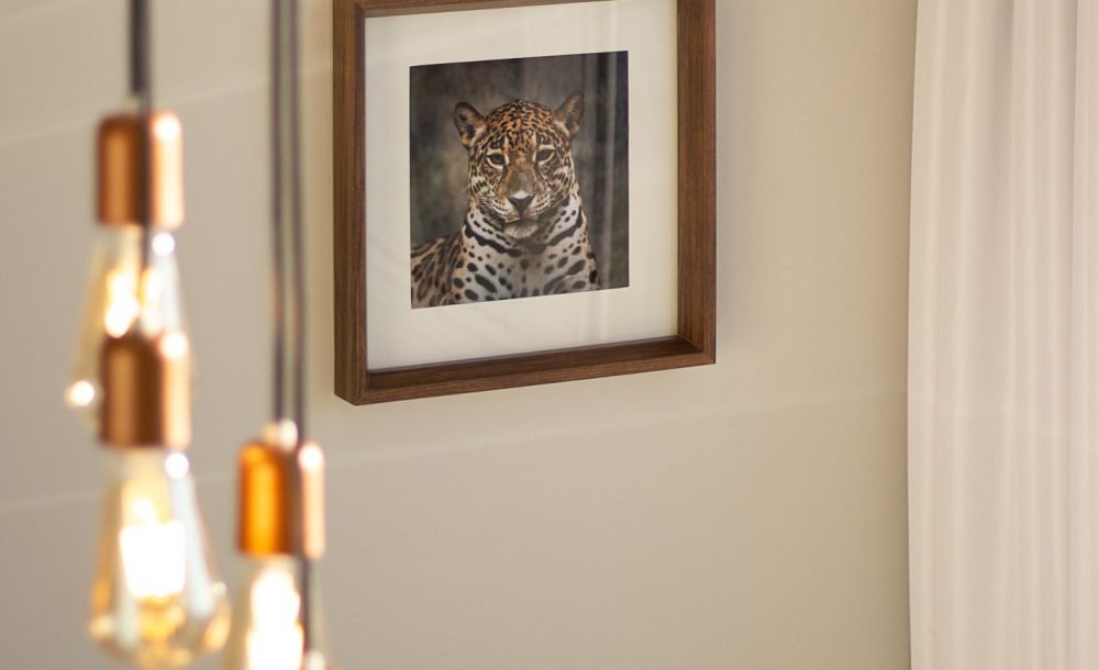 @rhyan.lopes_ Tarumã - Richard Souza-47