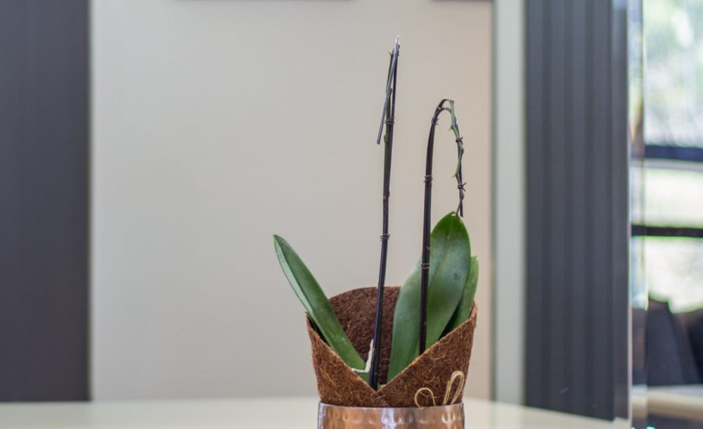 Apartamento - Richard Souza-036