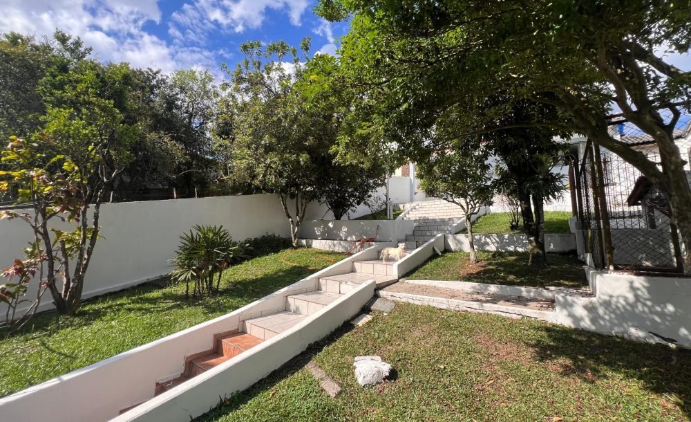 WhatsApp Image 2025-08-26 at 09.00.51