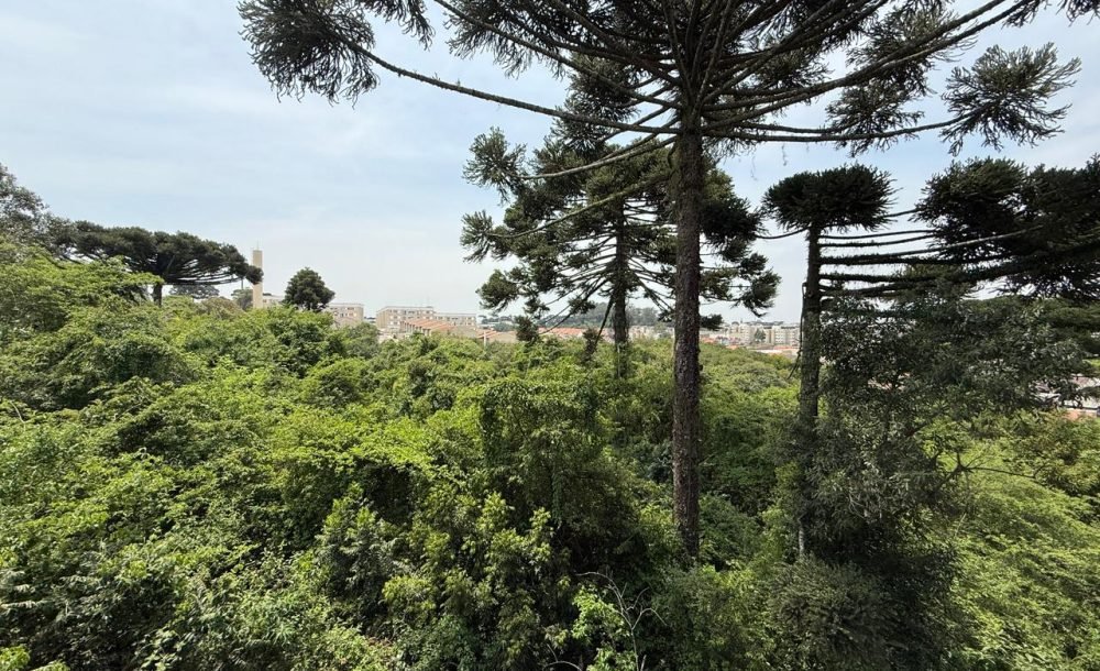 WhatsApp Image 2025-10-23 at 12.18.03-2