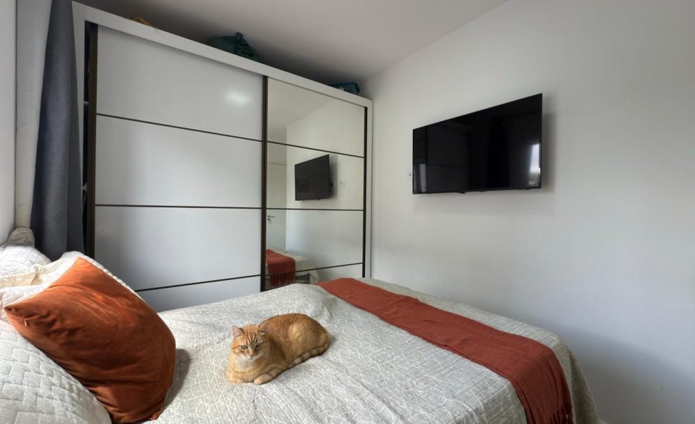 WhatsApp Image 2025-11-24 at 20.03.26